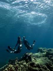 PDM 8230- freedivers