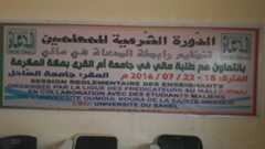 photo195864858639575724