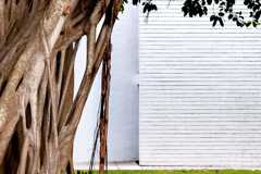 undergraduate, programs, architecture