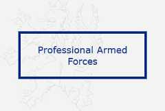 PROFESSIONAL ARMED FORCES