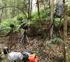 Soundscape Microphones: SASS, Iso-binaural, MS & Ambisonic
