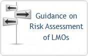 Guidance on RA of LMOs