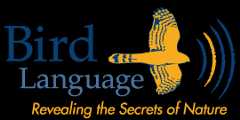 Bird Language