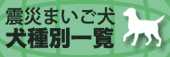 save2.gif