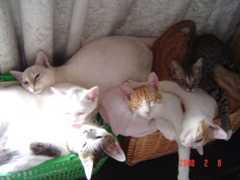 DSC01098.jpg