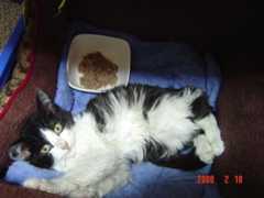 DSC01221.jpg