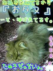 091203_2007001.jpg