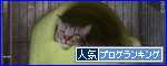 br_decobanner_20100605233841.gif
