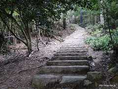 奥の院への道 - 弥山登山道（大聖院コース）