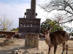 弥山山頂 - 弥山登山道（大聖院コース）