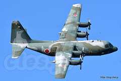  - 小牧と言えば C-130？ KC-767？（小牧オープンベース 2019）