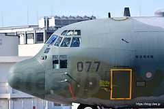  - 小牧と言えば C-130？ KC-767？（小牧オープンベース 2019）