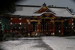 拝殿 - 雪の根津神社