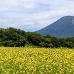 2015年に行った14回、合計113日間の旅行を振り返ってみた