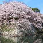 2016年に行った15回、合計114日間の旅行を振り返ってみた