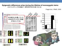 f:id:neurophys11:20160301222559j:plain f:id:neurophys11:20160301222559j:plain