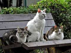 f:id:tbpg:20160113223815j:plain