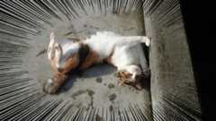 f:id:tbpg:20160513013351g:plain