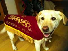 f:id:yumejitsugen1:20120430201751j:plain