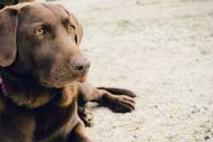 f:id:yumejitsugen1:20141205062704j:plain