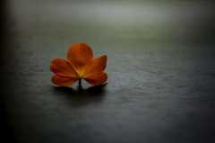 f:id:yumejitsugen1:20150616075801j:plain