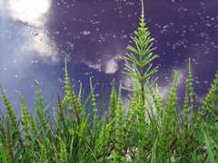 f:id:yumejitsugen1:20160326152559j:plain