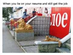 when you lie in your interview