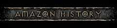 Amazon History