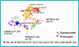 Description: Description: Description: http://cluster.cis.drexel.edu/~cchen/citespace/index_files/image010.gif