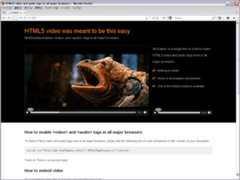 サイトのキャプチャ