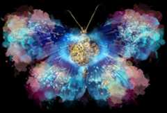 Topical Theology in Our Lives