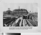 copl_006_page006