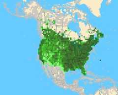 AMCRmap