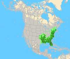 FICRmap