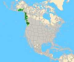 NOCRmap