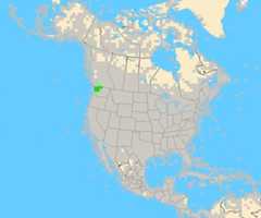 Overlapmap