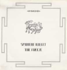 THE FREEZE cover art