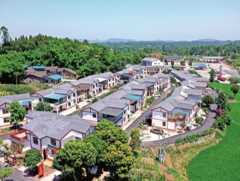 和美新村入画来