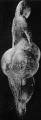 The Lespugue Venus