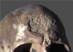 Cro-Magnon