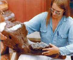  mastodon jaw