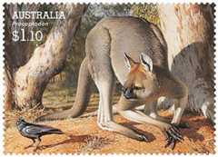 megafauna kangaroo