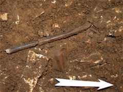 Geissenklösterle flute