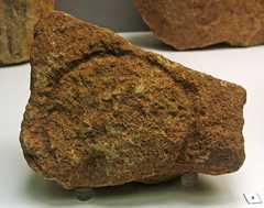 laussel  vulva