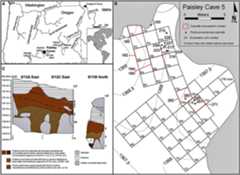 Paisley Fieldwork