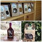 «Հայաստանի կանաչ հարստությունը․ վայրի բարիքների հետքերով». Էկոլուրի նոր տեսանյութը