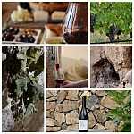 Էկոլուրի նոր տեսանյութը՝ «Գինին՝ Հայաստանի զբոսաշրջության այցեքարտ»