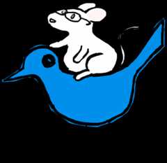 mouse riding bird