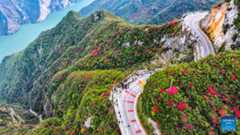 Autumn scenery of scenic spot near Wuxia Gorge in China's Chongqing