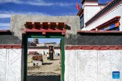 China's Xizang completes restoration of over 32500 houses after earthquake